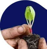 Illustration de la transition alimentaire