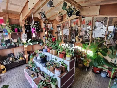 La Brocante Verte - Ressourcerie de plantes